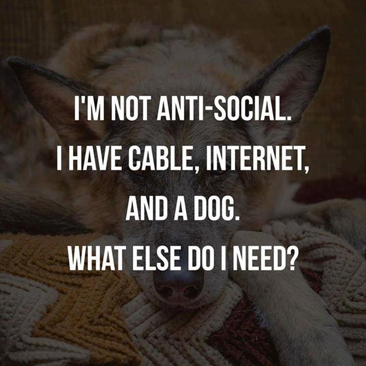 funny anti social