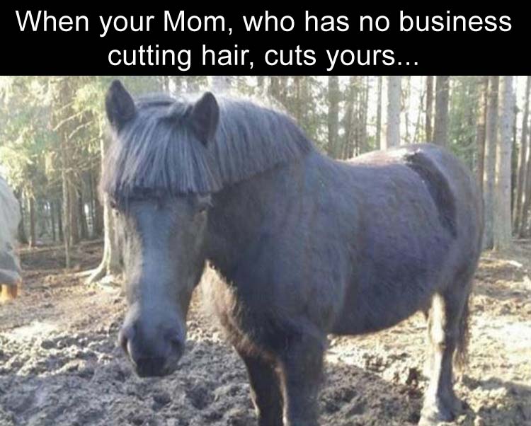 funny mom cuts your hair