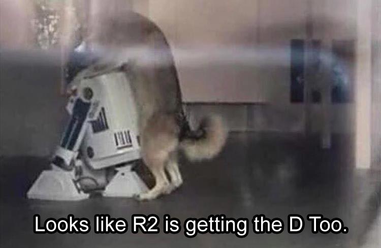 looks like R2 Got The D Too