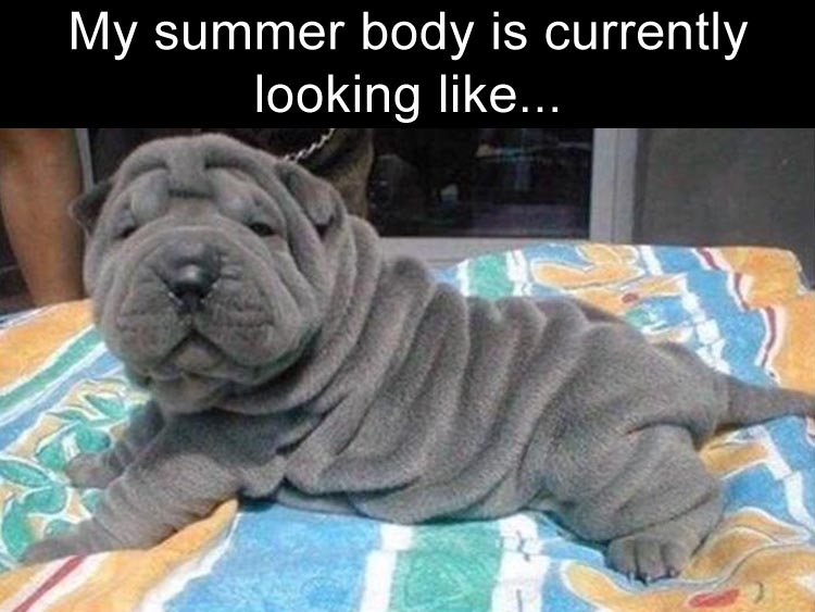 my summer body