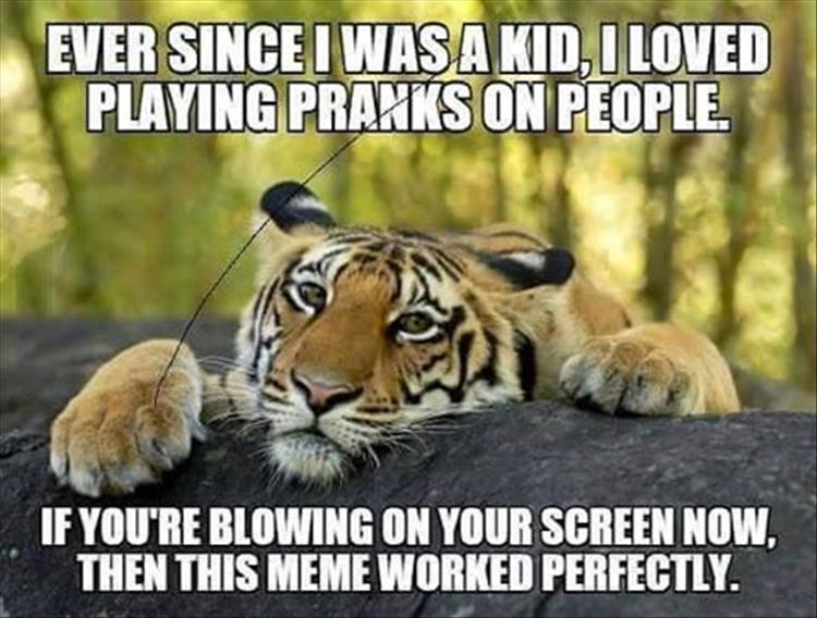 pranks