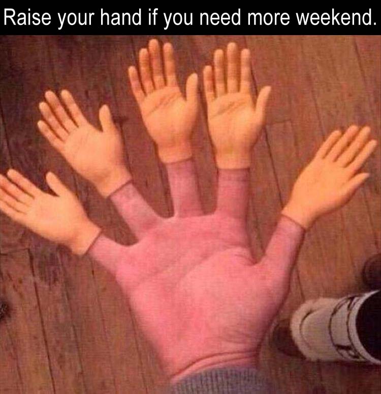 raise your hand