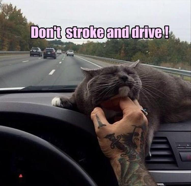 stroke and driving