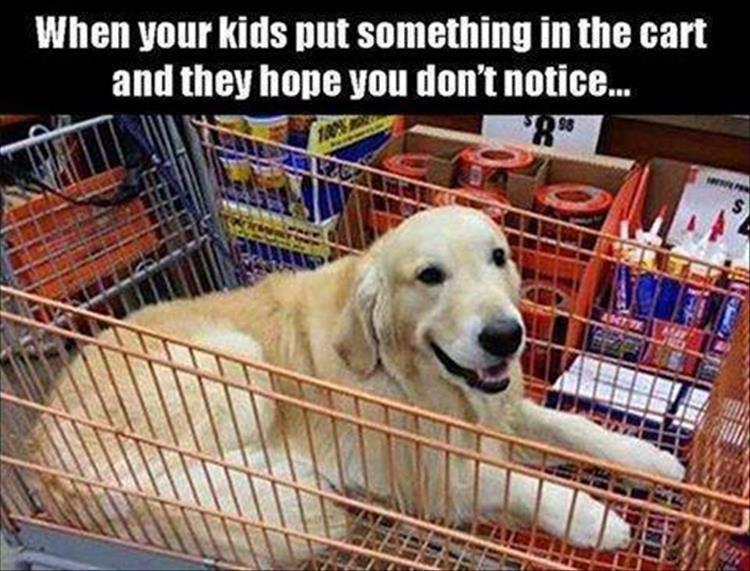 when-your-kids-put-something-in-the-cart.jpg