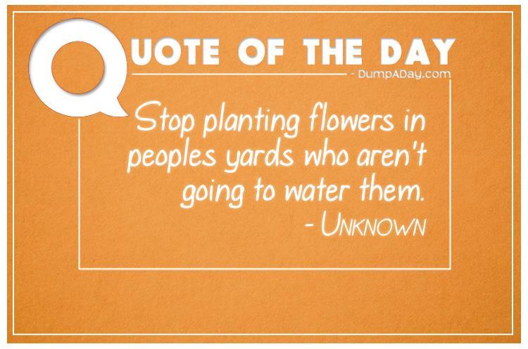 Stop planting flowers in peoples yards who aren't going to water them