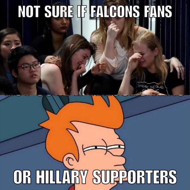 falcon fans