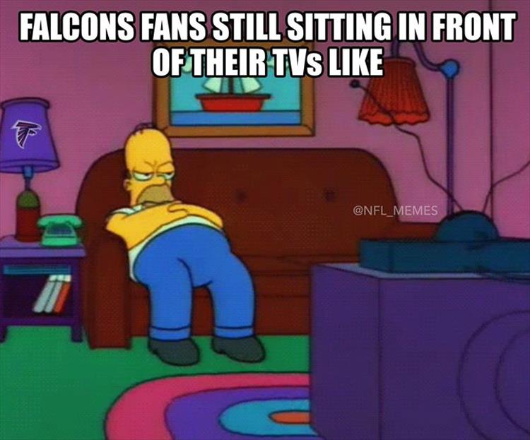 funny falcon fans