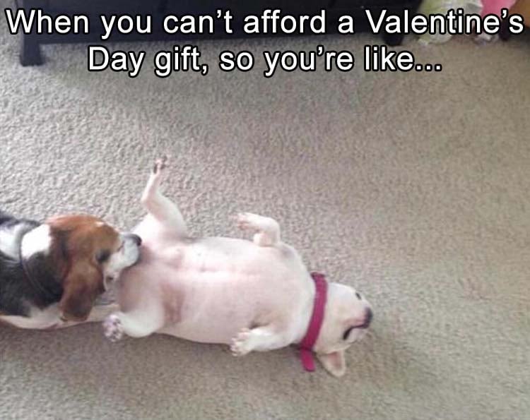 funny when you can't afford a valentine's day gift