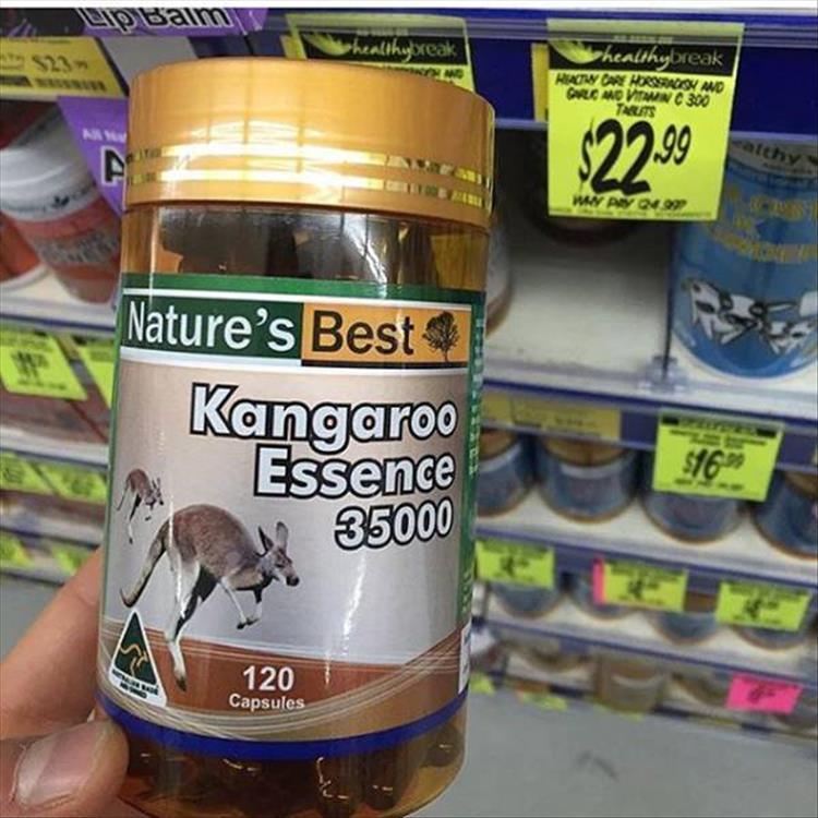 kangaroo stuff