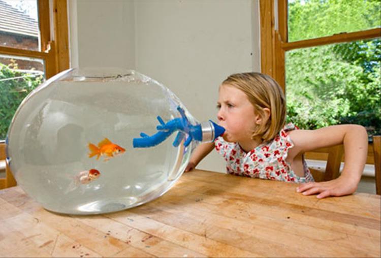 kid blowing into fish tank