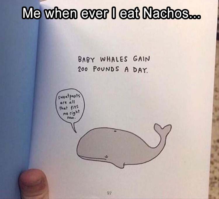 me everytime I eat nachos