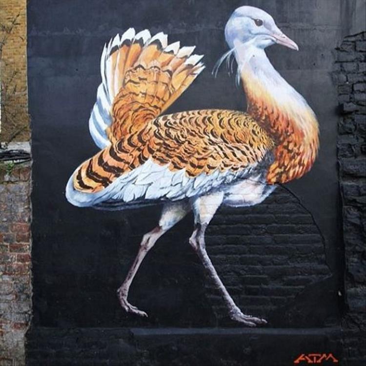 street art (17)