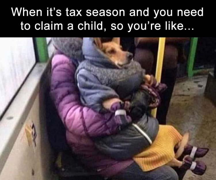 tax season