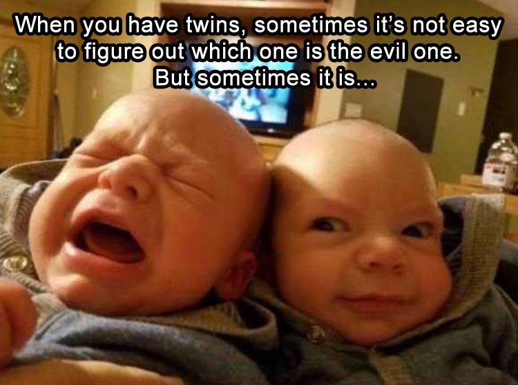evil-twins.jpg