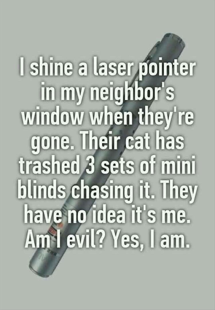 laser-pointer.jpg