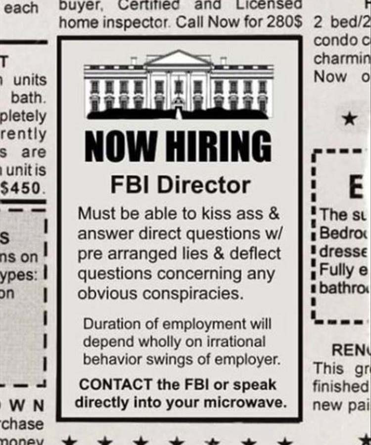 now-hiring-fbi-director.jpg