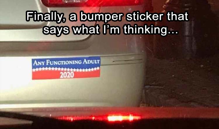 funny-election-bumper-sticker.jpg