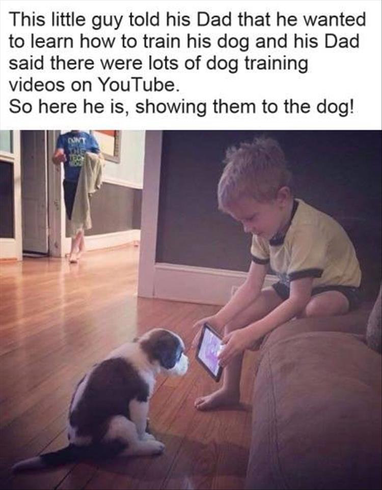 when-you-train-your-dog.jpg