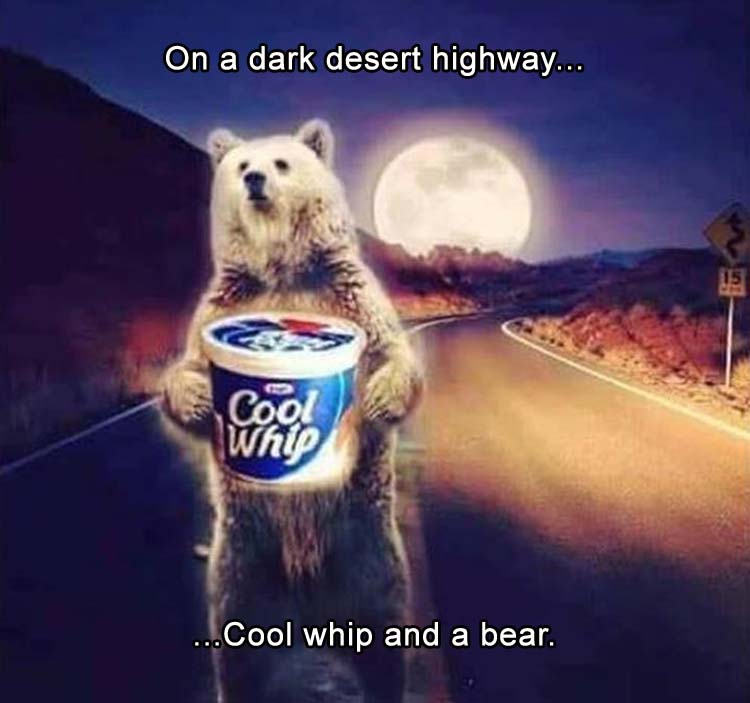 [Image: on-the-dark-dessert-highway.jpg]