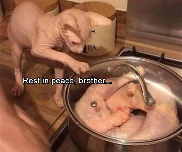 rest-in-peace-brother.jpg