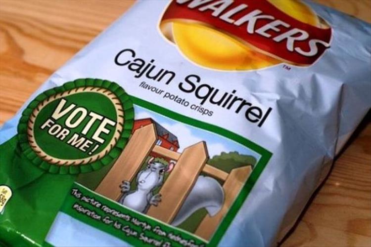 The Weirdest Chip Flavors Youll Ever See 18 Pics 