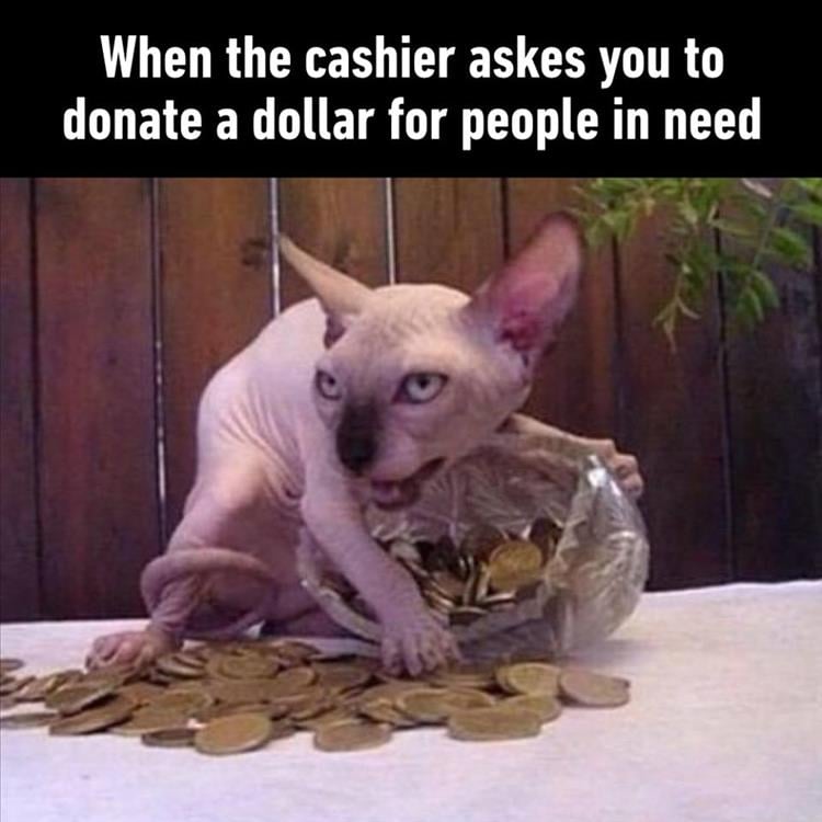 [Image: when-you-donate.jpg]