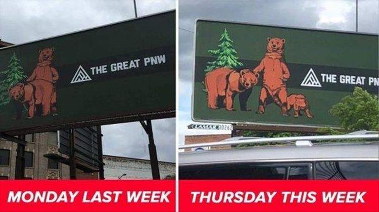 your-bear-signs.jpg