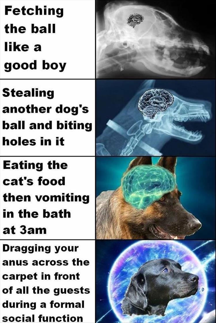 youre-a-good-boy.jpg