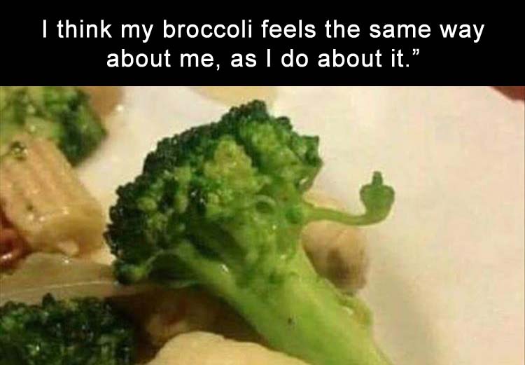 [Image: when-Im-not-even-mad-I-dont-like-broccoli-either.jpg]