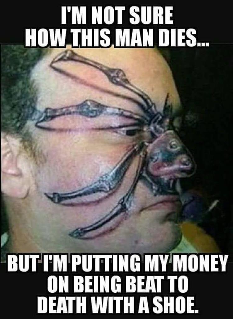 when-you-have-a-spider-tattoo.jpg