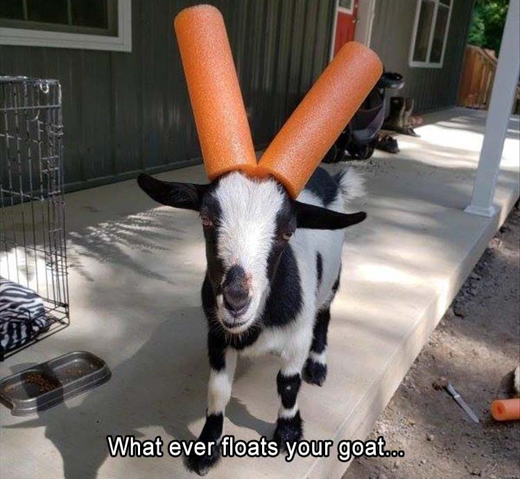 [Image: whatever-floats-your-goat.jpg]
