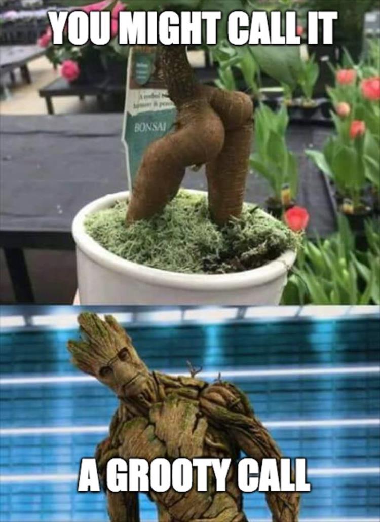 you-are-groot.jpg