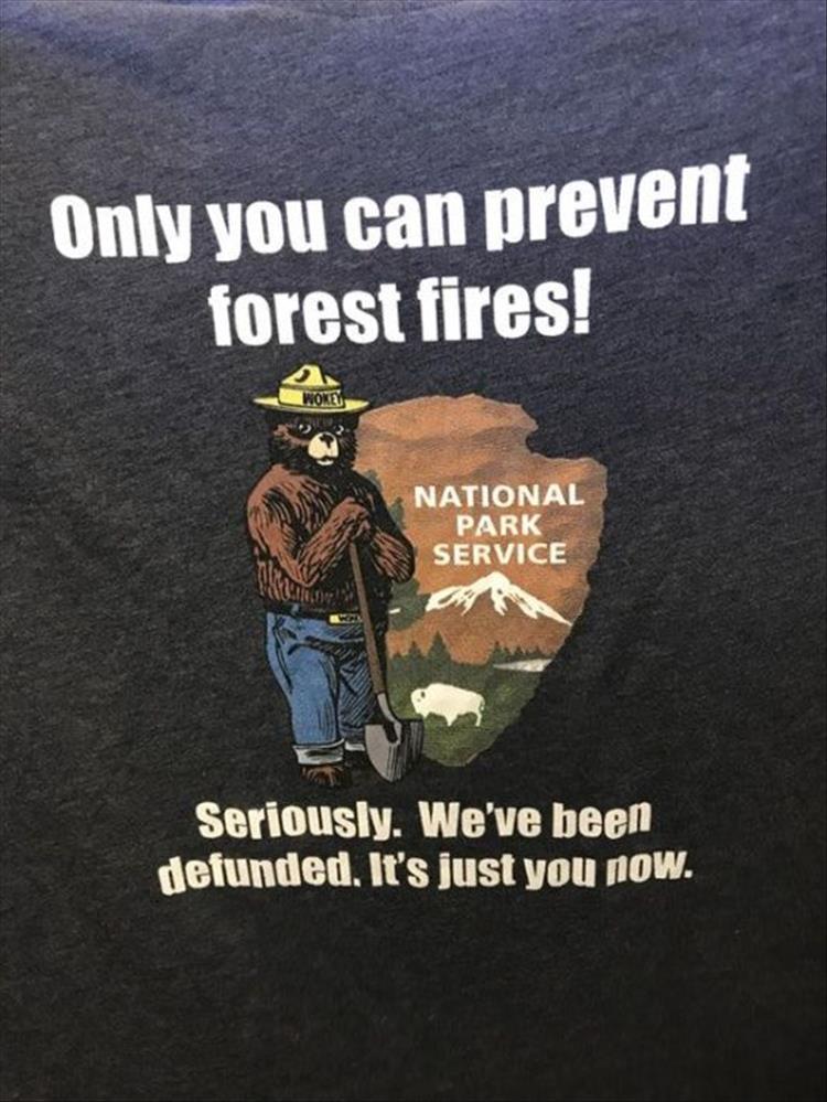 you-can-prevent-forrest-fires.jpg