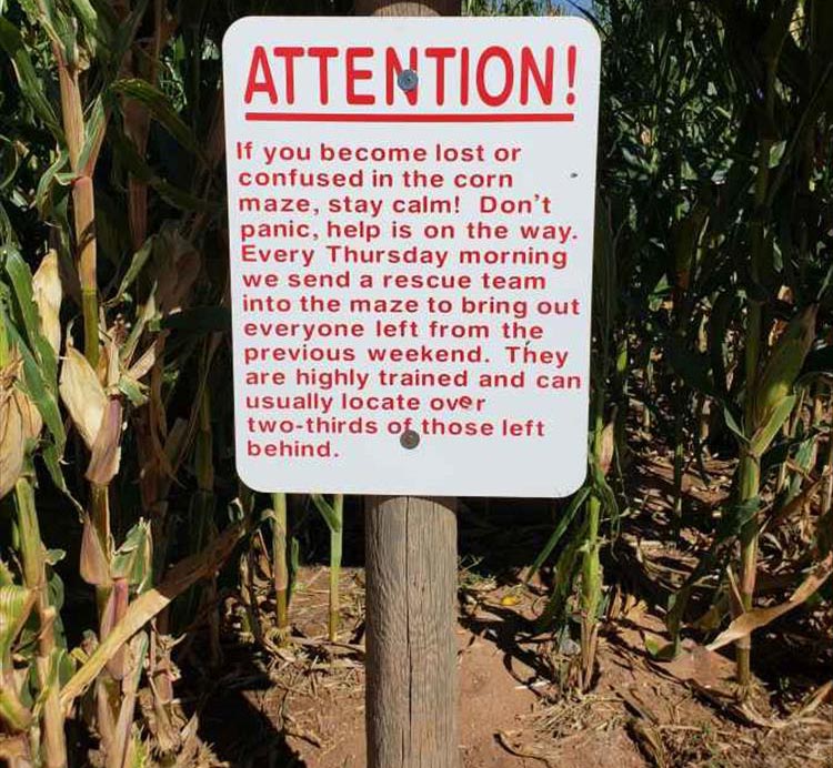 your-corn-maze.jpg
