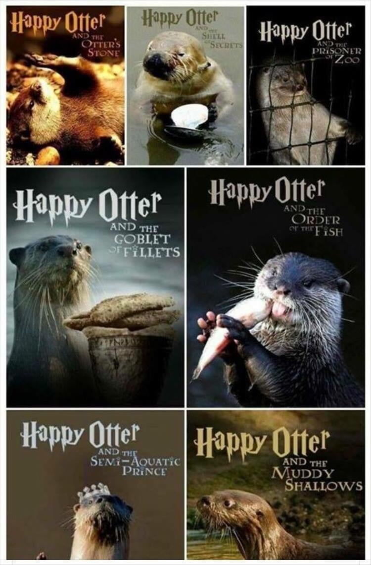 your-otter.jpg