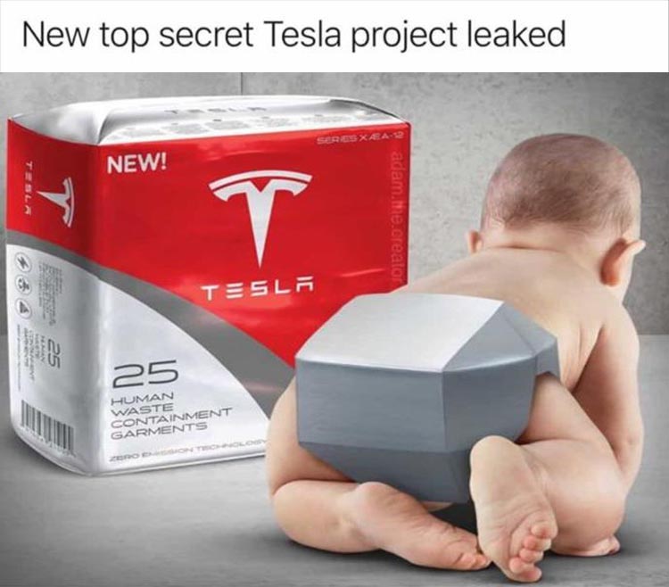 when-you-see-a-new-tesla-meme.jpg