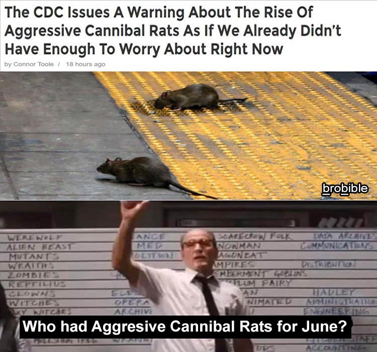 who-had-rats-for-june.jpg