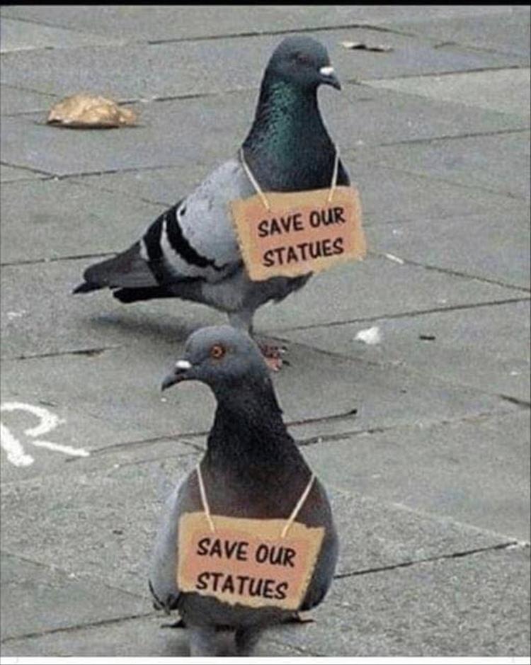 [Image: you-save-the-statues-1.jpg]
