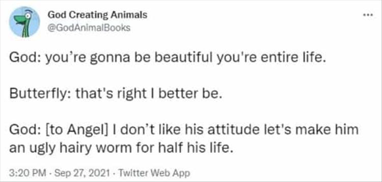 The God Created Animals Twitter Account Are The Only Funny Twitter Quotes I  Want To Read Today - 27 Pics