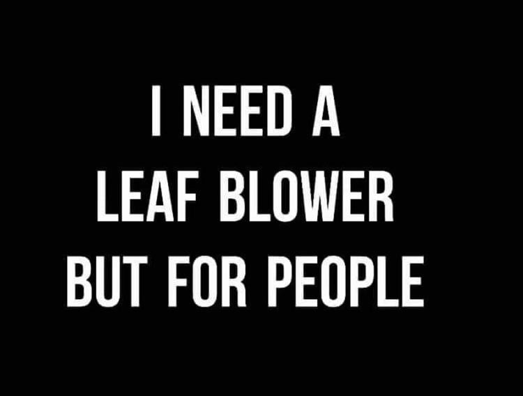 when-you-need-a-leaf-blower.jpg