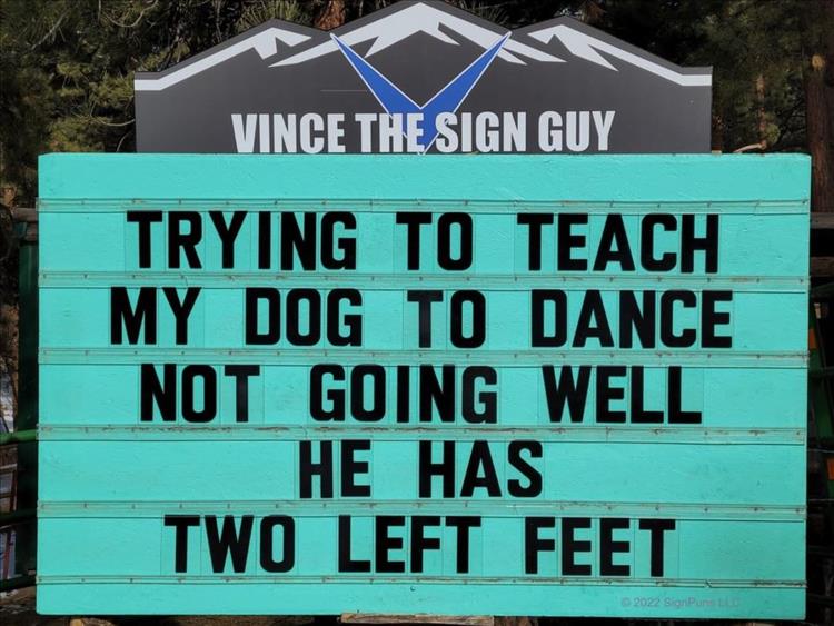 you-teaching-dogs-to-dance.jpg