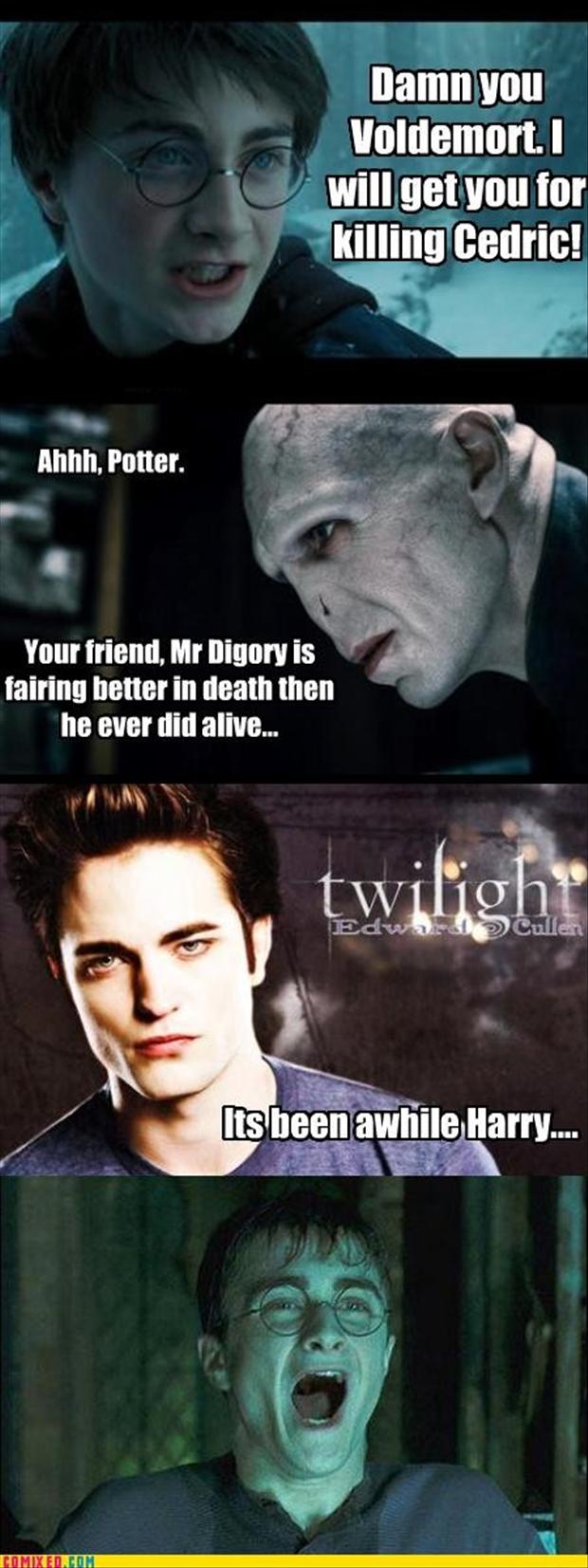 twilight/harry potter meme  Twilight funny, Twilight memes, Harry potter  vs twilight