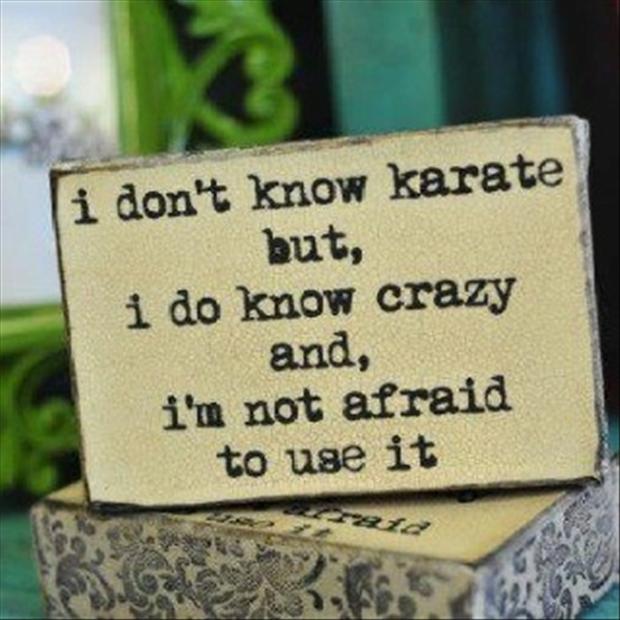 funny quotes, i do not know karate, but i know crazy and i am not afraid to...