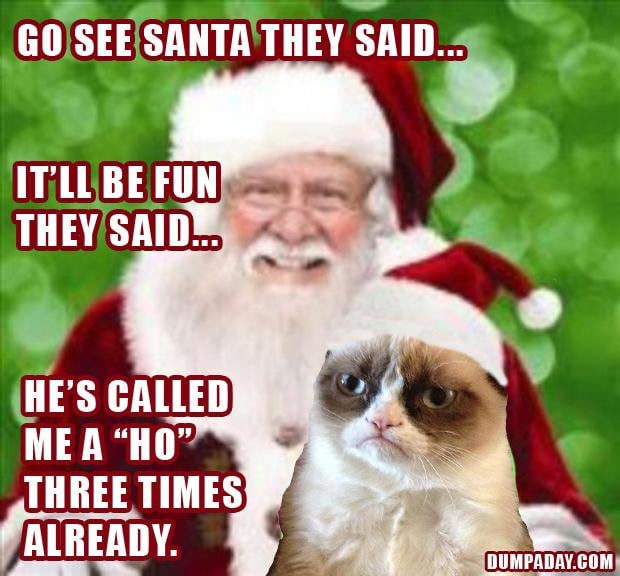 Angry Cat Meme Christmas