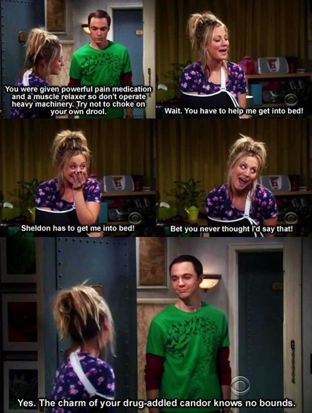 Big Bang Theory Quotes Soft Kitty