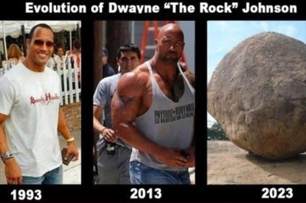 The rock rebaixado  Funny profile pictures, Really funny pictures, Funny  images