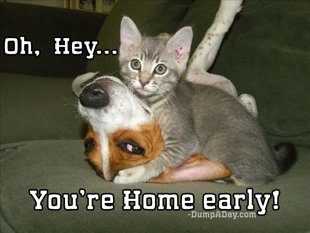 [Image: oh-hey-youre-home-early-cat-and-dog.jpg]