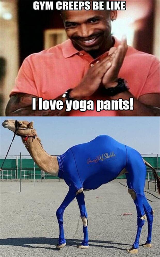 the yoga pants - Dump A Day