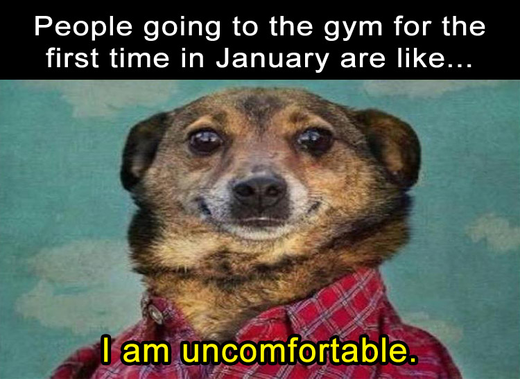 going to the gym in January is like - Dump A Day