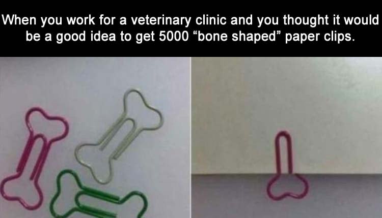 bone-shaped-paper-clips.jpg